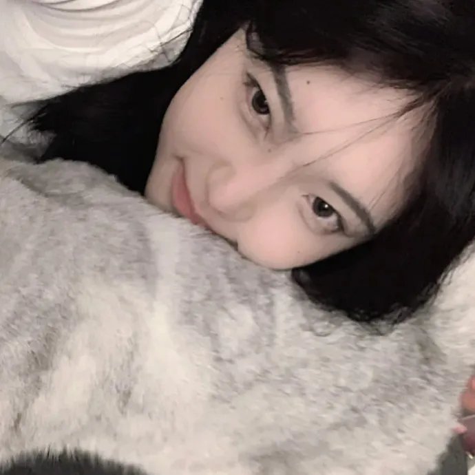 琴与罗莎